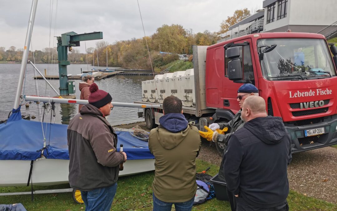 Frischer Fischbesatz für den Toeppersee – ein Highlight für unsere Angelfreunde